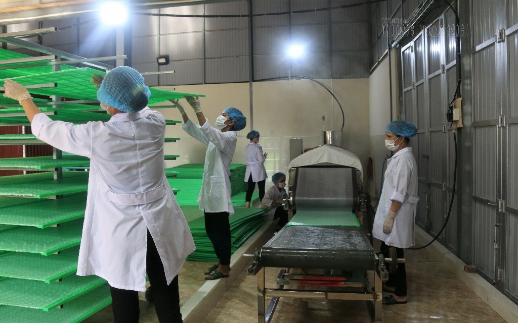HTX phi nông nghiệp: Điểm sáng phát triển kinh tế và an sinh xã hội ở Nam Định