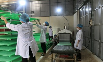 nhà cái 789bet phi nông nghiệp: Điểm sáng phát triển kinh tế và an sinh xã hội ở Nam Định