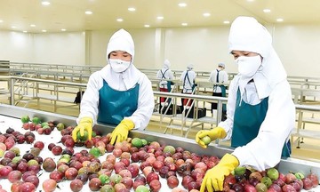 Chanh leo, ớt tươi nhập &#039;cuộc chơi&#039; hậu kiểm quốc tế