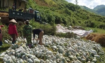 Điện Biên Đông nâng cao giá trị nông sản từ sản phẩm OCOP