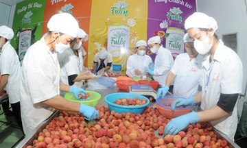 Nâng cao giá trị quả vải thiều, giải bài toán &#039;được mùa rớt giá&#039;