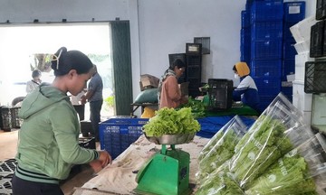 Hướng đi mới trong hành trình giảm nghèo bền vững ở Kon Plông