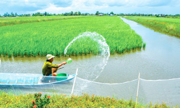 Những &#039;triệu phú sinh thái&#039; giữa rừng ngập mặn Cà Mau