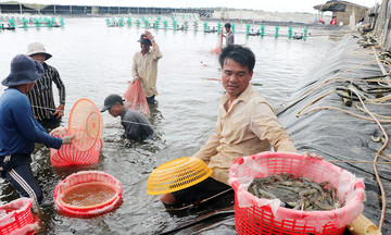 Thắng lớn nhờ đầu tư nuôi trồng thủy 789bet lừa đảo