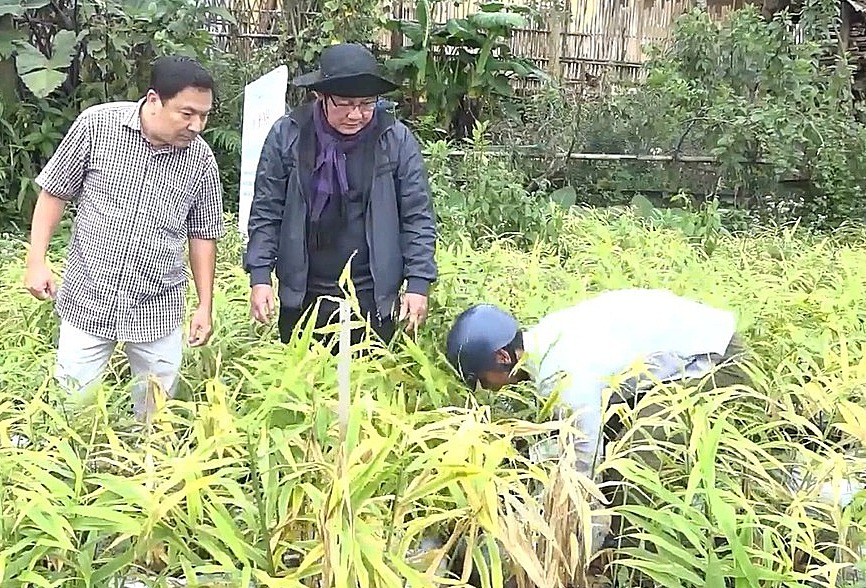 Bứt phá giảm nghèo nhờ chuyển đổi mô hình sản xuất ở Quảng Ngãi
