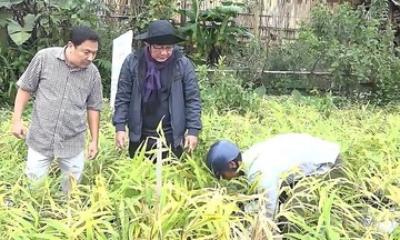 Bứt phá giảm nghèo nhờ chuyển đổi mô hình đánh đề online 789bet xuất ở Quảng Ngãi