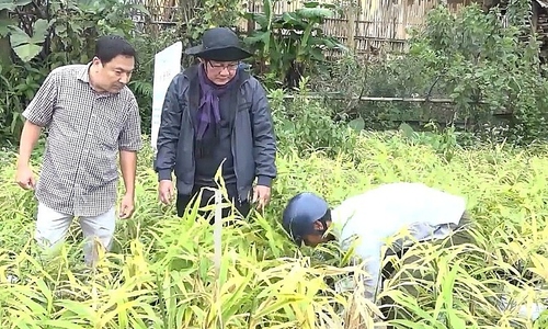 Bứt phá giảm nghèo nhờ chuyển đổi mô hình sản xuất ở Quảng Ngãi