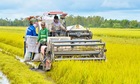 Doanh khuyến mãi 789bet và HTX tăng tốc nhập &#039;cuộc chơi&#039; Net Zero để tự tin xuất khẩu