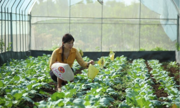 789bet uy tín hữu cơ &#039;đau đầu&#039; tìm đơn vị chứng nhận để ‘chọn mặt gửi vàng’