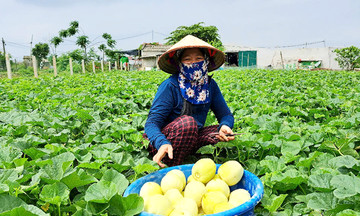 Một &#039;trụ cột&#039; xóa đói giảm nghèo ở vùng ven biển tỉnh Ninh Bình