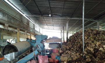 Thay đổi tư duy sản xuất, HTX giúp nhiều thành viên thoát nghèo