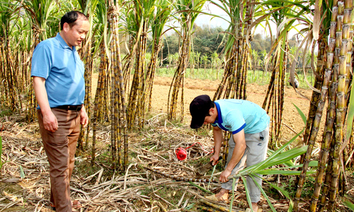 Điểm tựa xây dựng nông thôn mới ở vùng cao Tuyên Quang