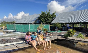 Nâng tầm cuộc sống người dân từ du lịch nông nghiệp