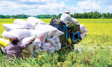Hạt nhân trong công cuộc giảm nghèo ở Khánh Bình Tây