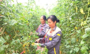 Những điểm sáng trong hành trình giảm nghèo bền vững