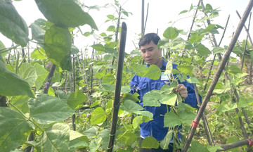 Tiên phong làm nông nghiệp hiện đại, 789bet tạo sinh kế giúp người dân làm giàu bền vững
