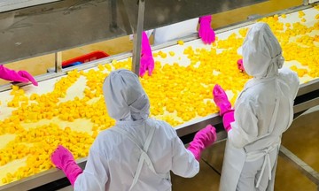 Khánh thành dây chuyền đồ hộp giấy rau quả lớn nhất miền Bắc