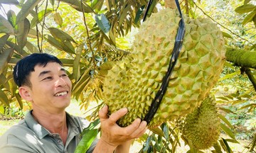 Tăng tiềm lực phát triển kinh tế, giảm nghèo bền vững