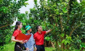 Agribank tiên phong tài chính xanh, vào Top 10 ESG ngành ngân hàng 2025
