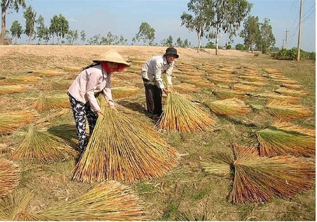 Hiệu quả hoạt động của các làng nghề ở An Giang