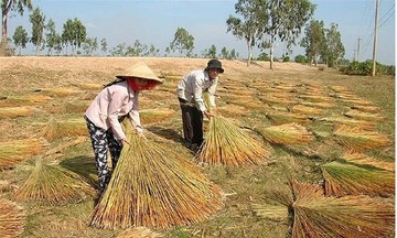 Hiệu quả hoạt động của các làng nghề ở An Giang