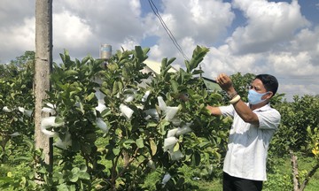 Nông dân Cần Thơ &#039;đổi đời&#039; nhờ những HTX &#039;dám nghĩ dám làm&#039;