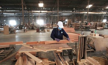 Khó trăm bề, doanh nghiệp gỗ ứng phó linh hoạt trước biến động thị trường