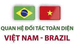 Đẩy mạnh quan hệ song phương Việt Nam-Brazil