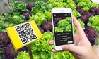 Xác thực truy xuất nguồn gốc: &#039;hộ chiếu số 789bet có uy tín không sản phẩm&#039; cho hành trình xuất ngoại