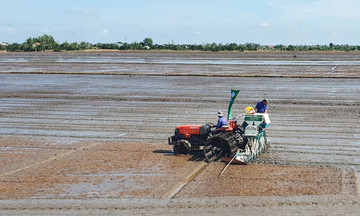 Phát triển bền vững và giảm phát thải trong 789bet có uy tín không xuất lúa gạo giúp nông dân ở Cần Thơ &#039;đổi đời&#039;