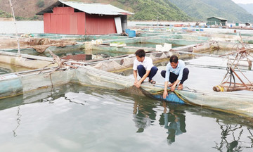 Mường Khiêng giàu lên từ lòng hồ sông Đà