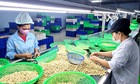 Ba nhóm giải pháp để tăng tốc xuất khẩu nông sản 6 tháng cuối năm