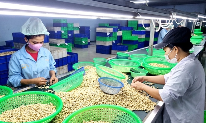 Ba nhóm giải pháp để tăng tốc xuất khẩu nông sản 6 tháng cuối năm