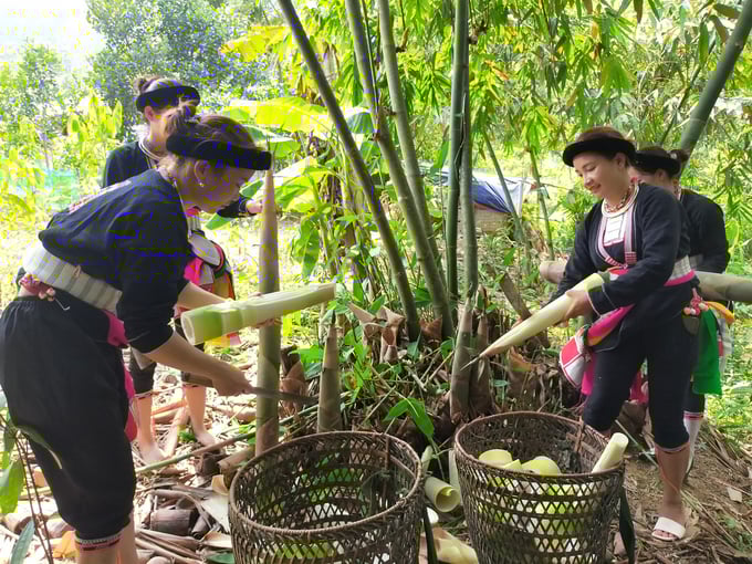 'Bệ đỡ' quan trọng trong công tác giảm nghèo tại Lào Cai