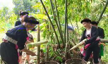 &#039;Bệ đỡ&#039; quan trọng trong công tác giảm nghèo tại Lào Cai