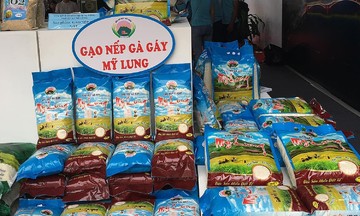 Triển vọng giảm nghèo bền vững từ mô hình gạo nếp gà gáy Mỹ Lung