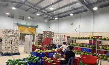 Mô hình giảm nghèo bền vững ở Bến Tre