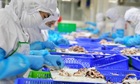 VASEP kiến nghị hàng loạt vướng mắc pháp lý gây khó cho 789bet wiki nghiệp thủy sản