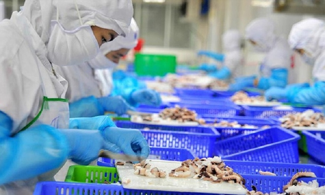 VASEP kiến nghị hàng loạt vướng mắc pháp lý gây khó cho 789bet link mới nghiệp thủy sản