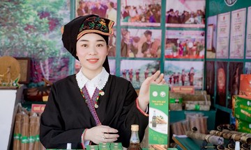 HTX góp phần tạo thu nhập ổn định cho người dân Lào Cai