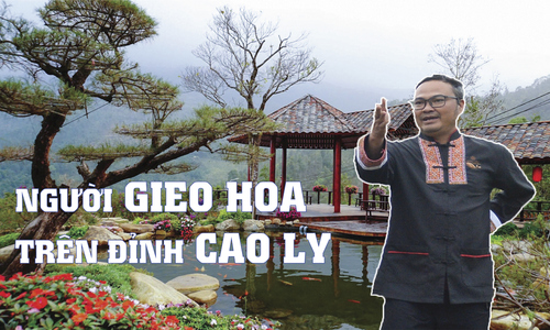Người gieo hoa trên đỉnh Cao Ly