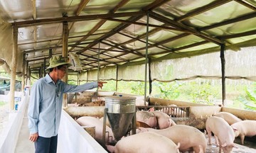 Kinh tế hợp tác tạo động lực vươn lên cho người dân Hướng Hiệp sau sáp nhập