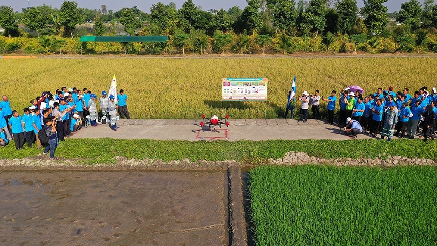 -3339-1752658151.jpg