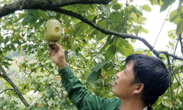 Tăng liên kết, nâng cao hiệu quả cho 789bet tặng 100k ở Lạng Sơn