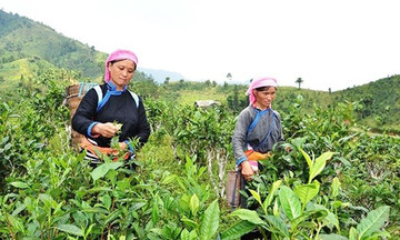 Chìa khóa giúp 789bet bứt phá, tạo đòn bẩy làm giàu