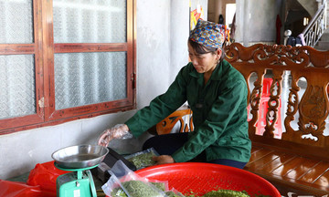 Từ &#039;hạt ngọc trời&#039; đến thương hiệu tiêu biểu của tỉnh