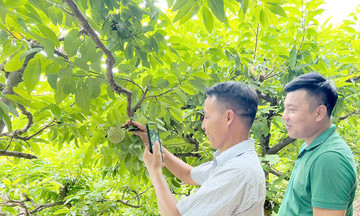 Chuyện về ‘thôn thông minh’ đi đầu trong xây dựng nông thôn mới ở Tuyên Quang