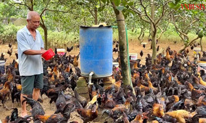 HTX Việt Yên: Gắn kết cộng đồng, giảm nghèo bền vững