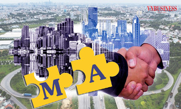 Không còn ‘cá lớn nuốt cá bé’ trên đường đua M&A bất động sản?