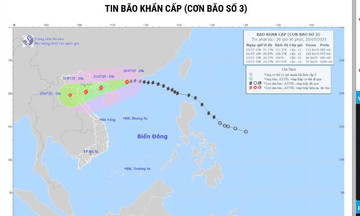 Hải Phòng triển khai đồng bộ, khẩn trương các biện pháp phòng, chống bão số 3